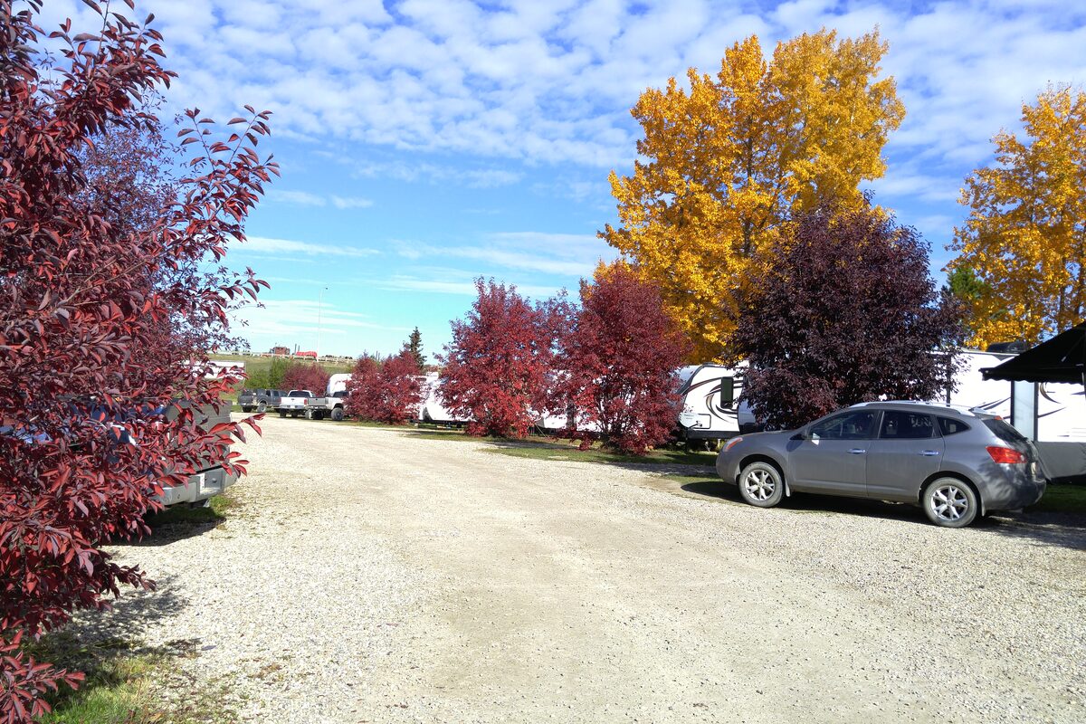 RV park roadway lined with brilliant red and gold autumn trees with RVs on both sides
