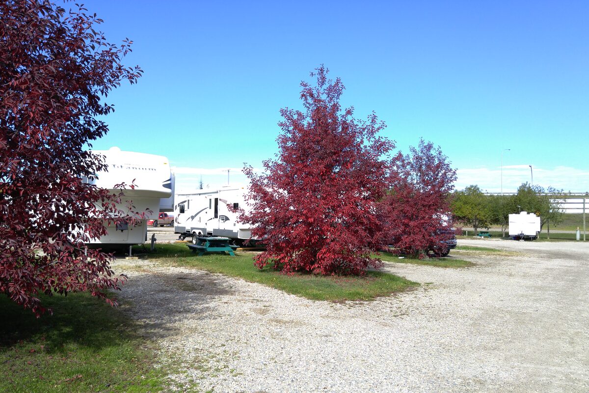 Spacious pull-through RV sites with red-leafed maples and blue sky at Edson RV Park