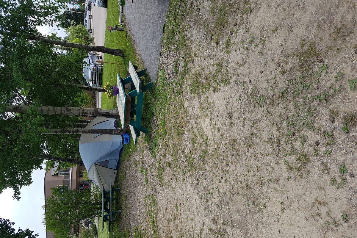Tent camping site with picnic tables among birch trees at Edson RV Park