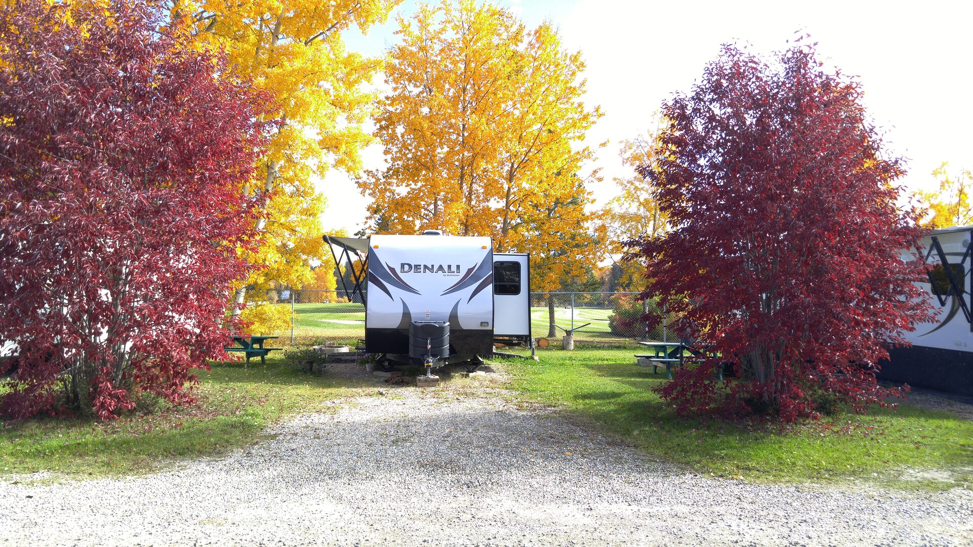 Denali RV trailer framed by golden fall foliage and red maple trees at Edson RV Park with golf course visible through fence